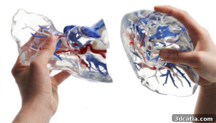 3D Printed Organ for Surgical Training