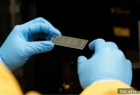 Researchers 3D Printing Blood Vessels for Stroke Insights