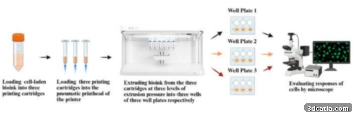 Experimental design demonstrating the effects of extrusion pressure on bioprinted lung cells