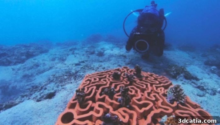 3D Printed Coral Reef Tiles (Photo Credit: Archireef)