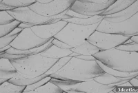 3D Printing Redefines Aluminum’s Potential in Japan