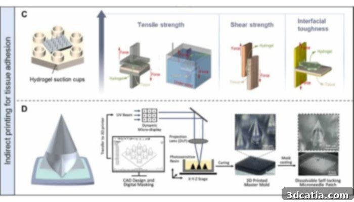 Microneedle Mold Illustration