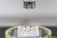 CompagOs Pioneers 3D-Printed Bone Models for Proactive Bone Health Assessment