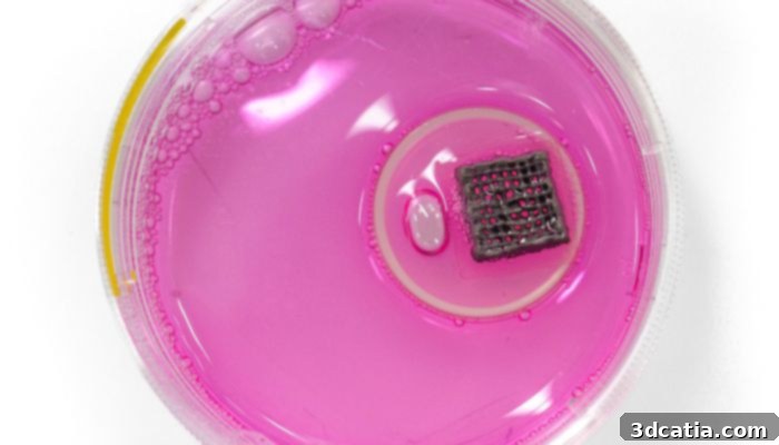 CompagOs Bon3OID™ in vitro bone model
