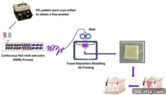 Graphical abstract of the study