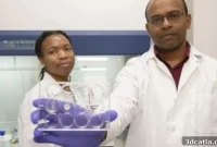 Precision Chemo: 3D Printed Implant Focuses Treatment on Tumors