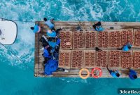 rrreefs Unveils 13 3D-Printed Reefs to Fight Coral Bleaching