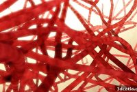 Notre Dame Develops 3D Printing Method for Blood Capillaries